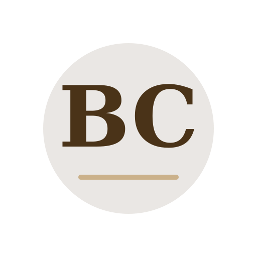 Brett Chimney Services logo